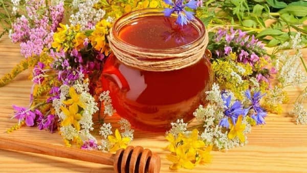 خرید انواع عسل های گون آویشن چند گیاه